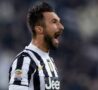 Mirko Vucinic (getty images)