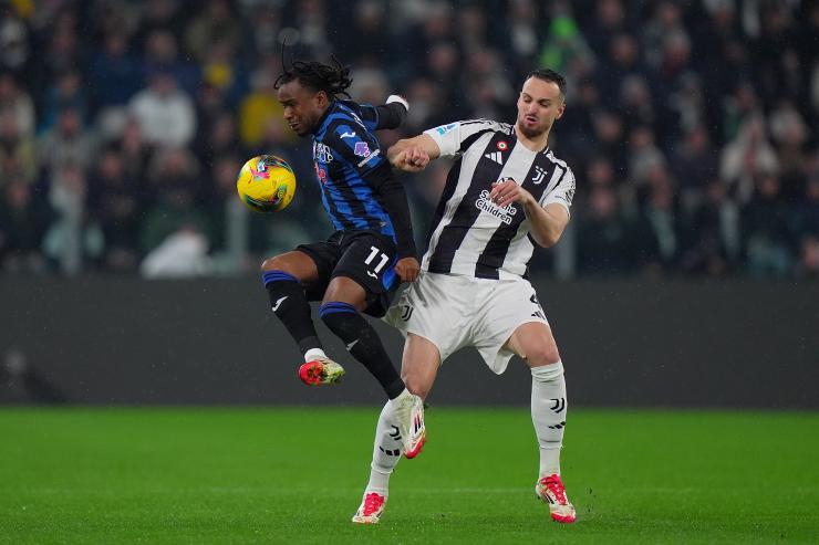 Gatti in azione 