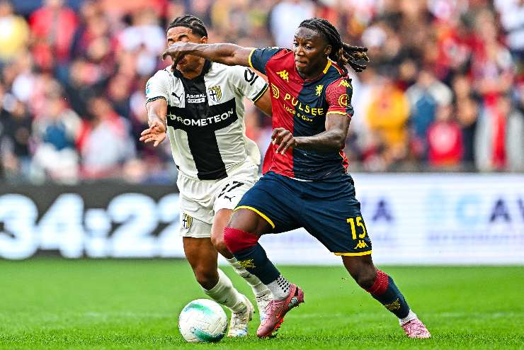 norton cuffy in progressione